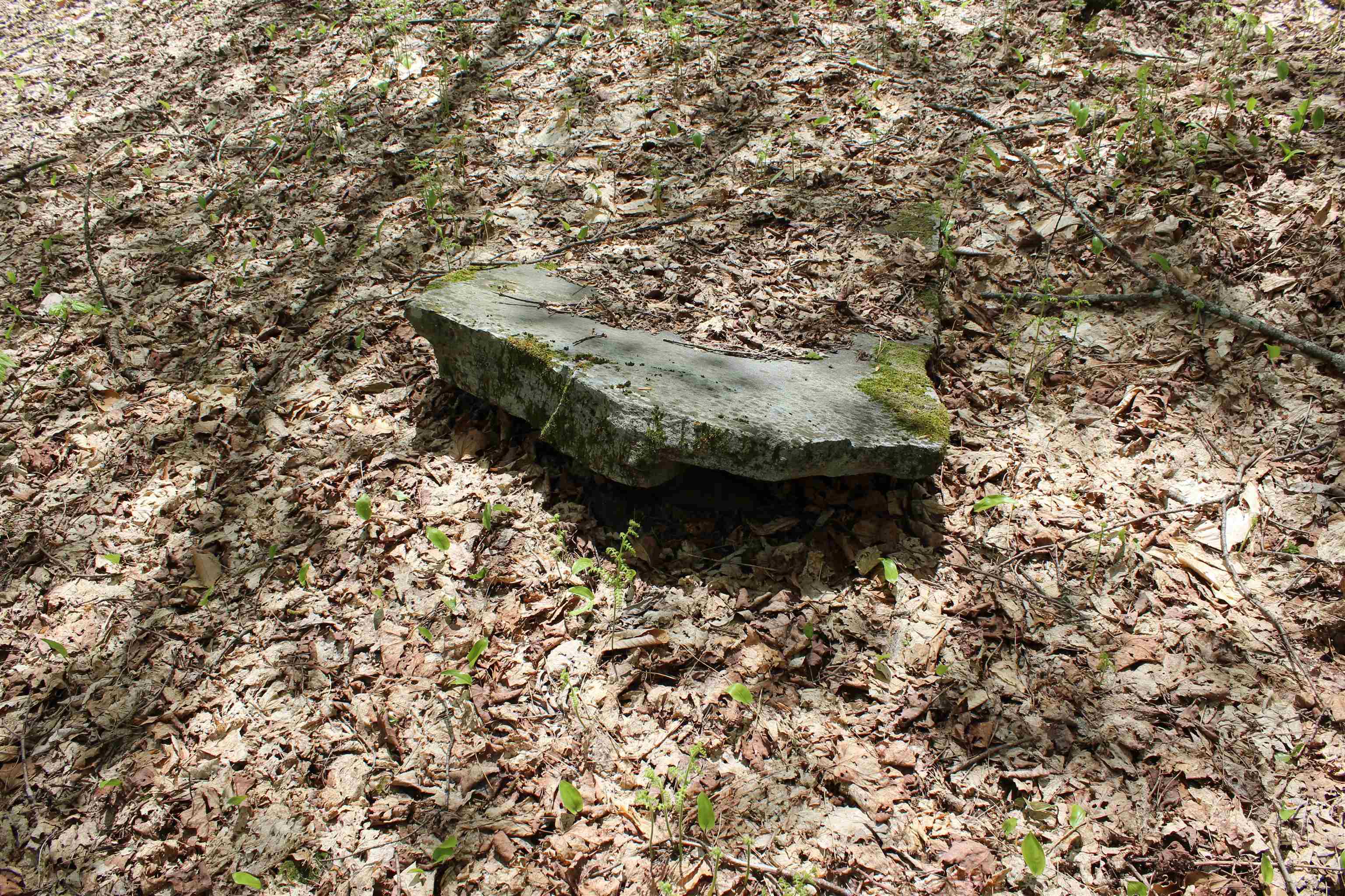 0 Long Hill Road South Woodstock, VT 05071 - Photo 31 of 58
