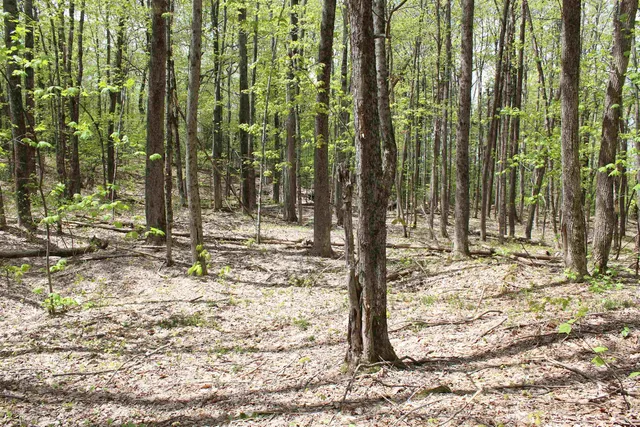 $549,000 | 0 Long Hill Road, South Woodstock, VT 05071