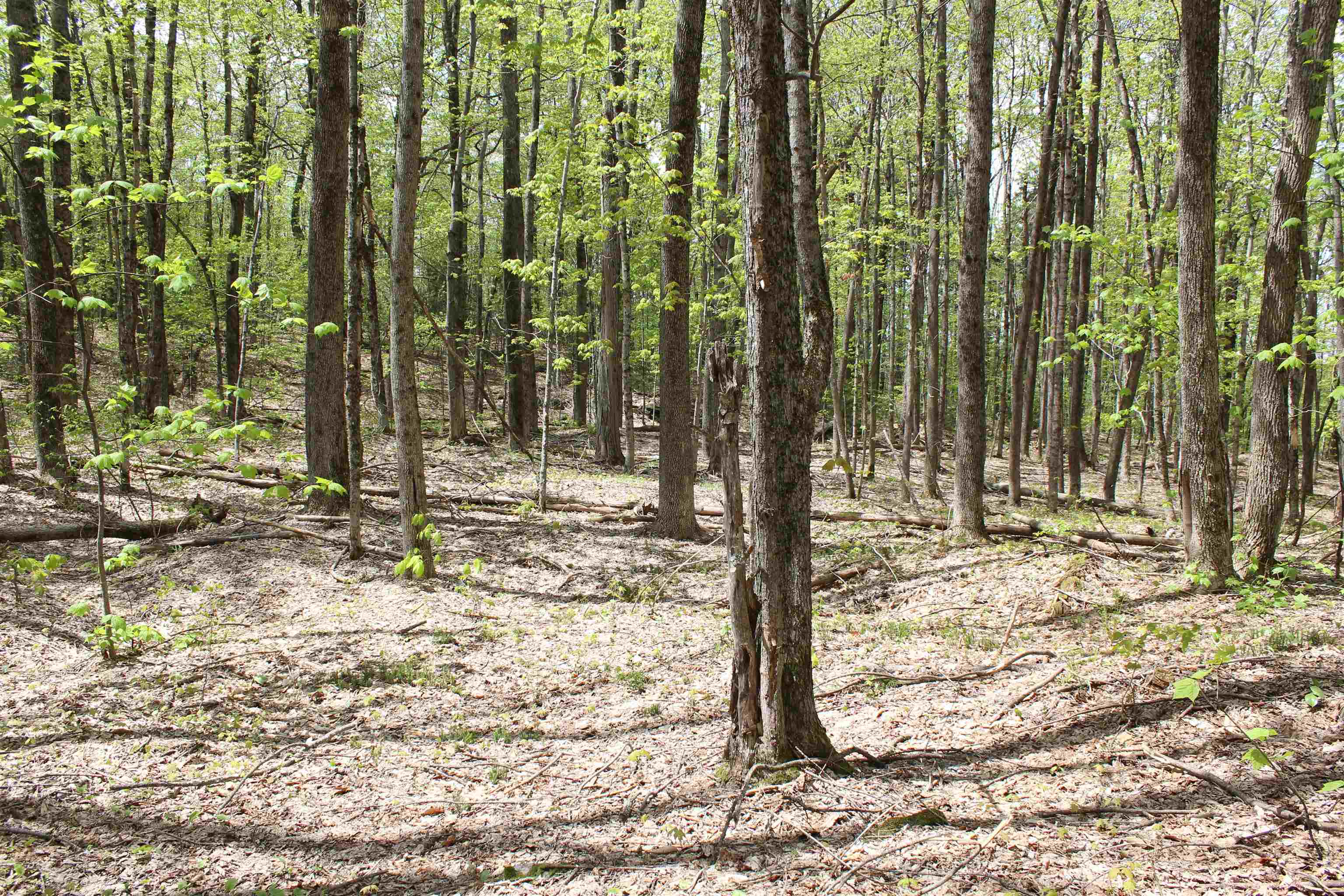 0 Long Hill Road South Woodstock, VT 05071 - Photo 33 of 58