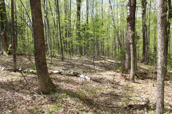 $549,000 | 0 Long Hill Road, South Woodstock, VT 05071