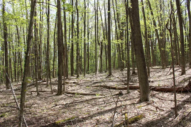 $549,000 | 0 Long Hill Road, South Woodstock, VT 05071