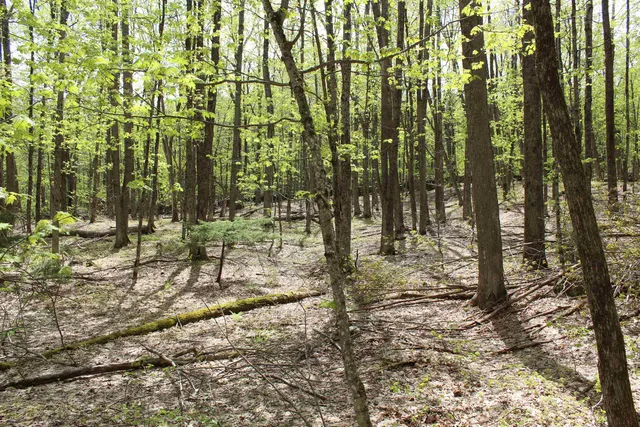 $549,000 | 0 Long Hill Road, South Woodstock, VT 05071