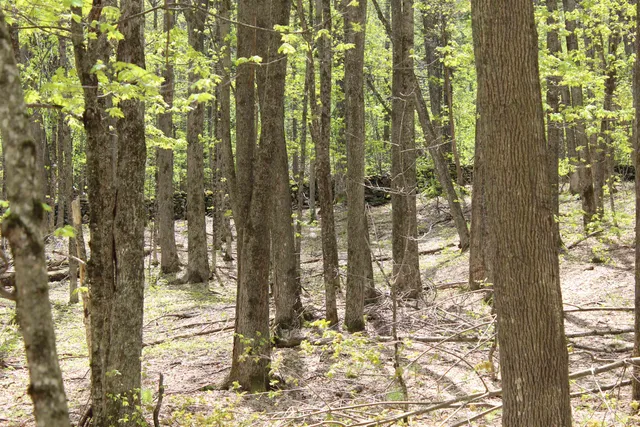 $549,000 | 0 Long Hill Road, South Woodstock, VT 05071