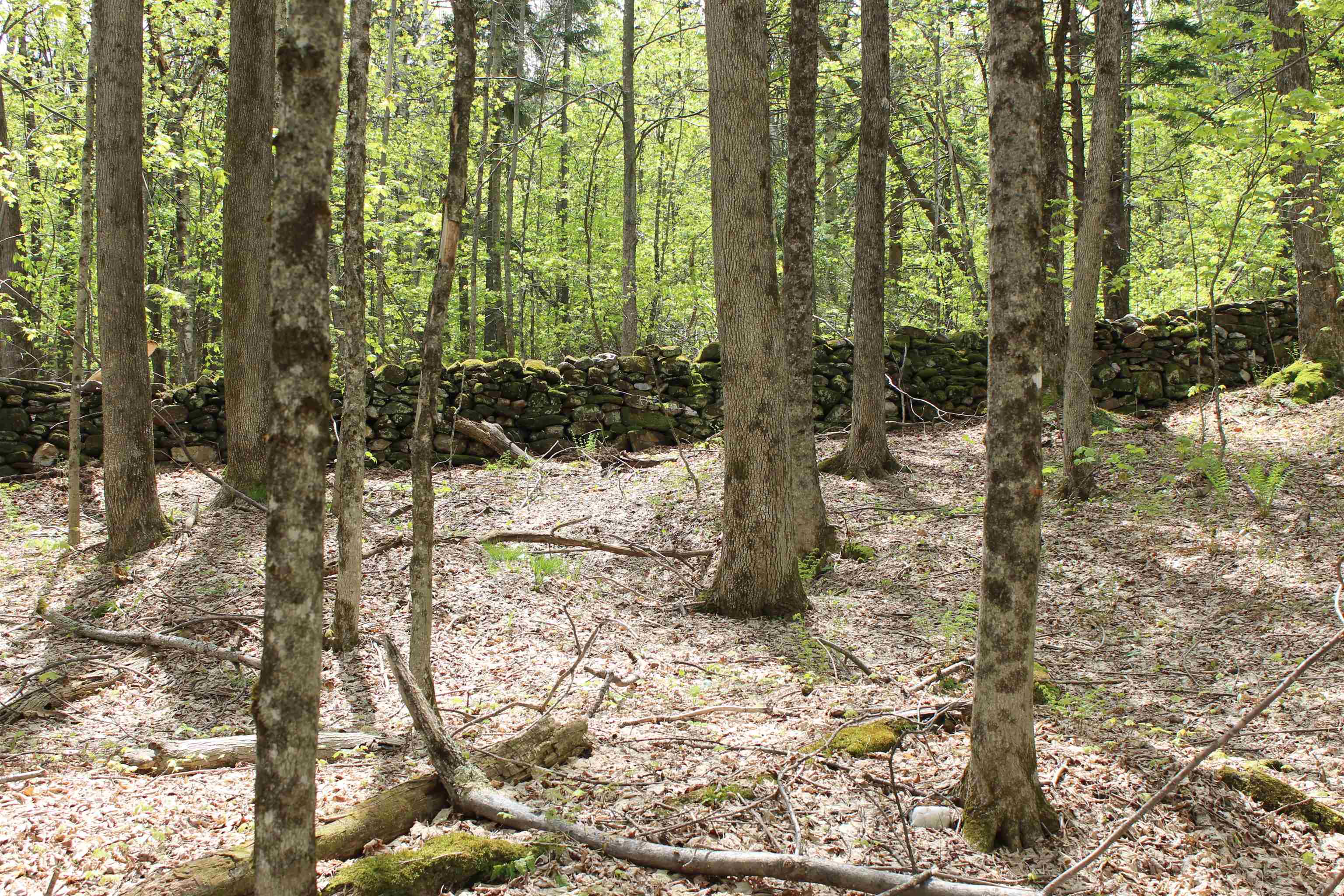 0 Long Hill Road South Woodstock, VT 05071 - Photo 38 of 58