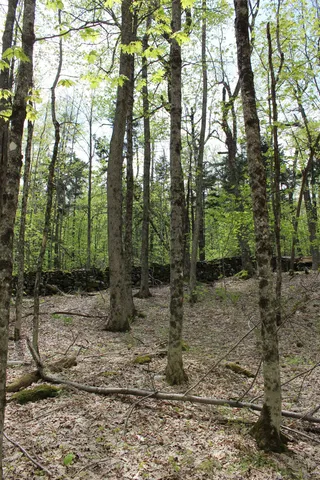 $549,000 | 0 Long Hill Road, South Woodstock, VT 05071