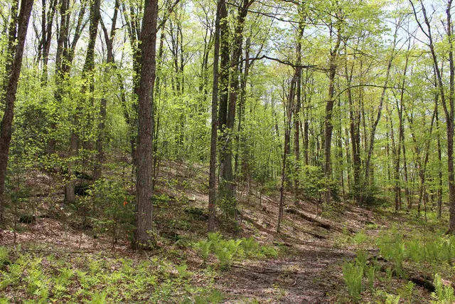 $549,000 | 0 Long Hill Road, South Woodstock, VT 05071