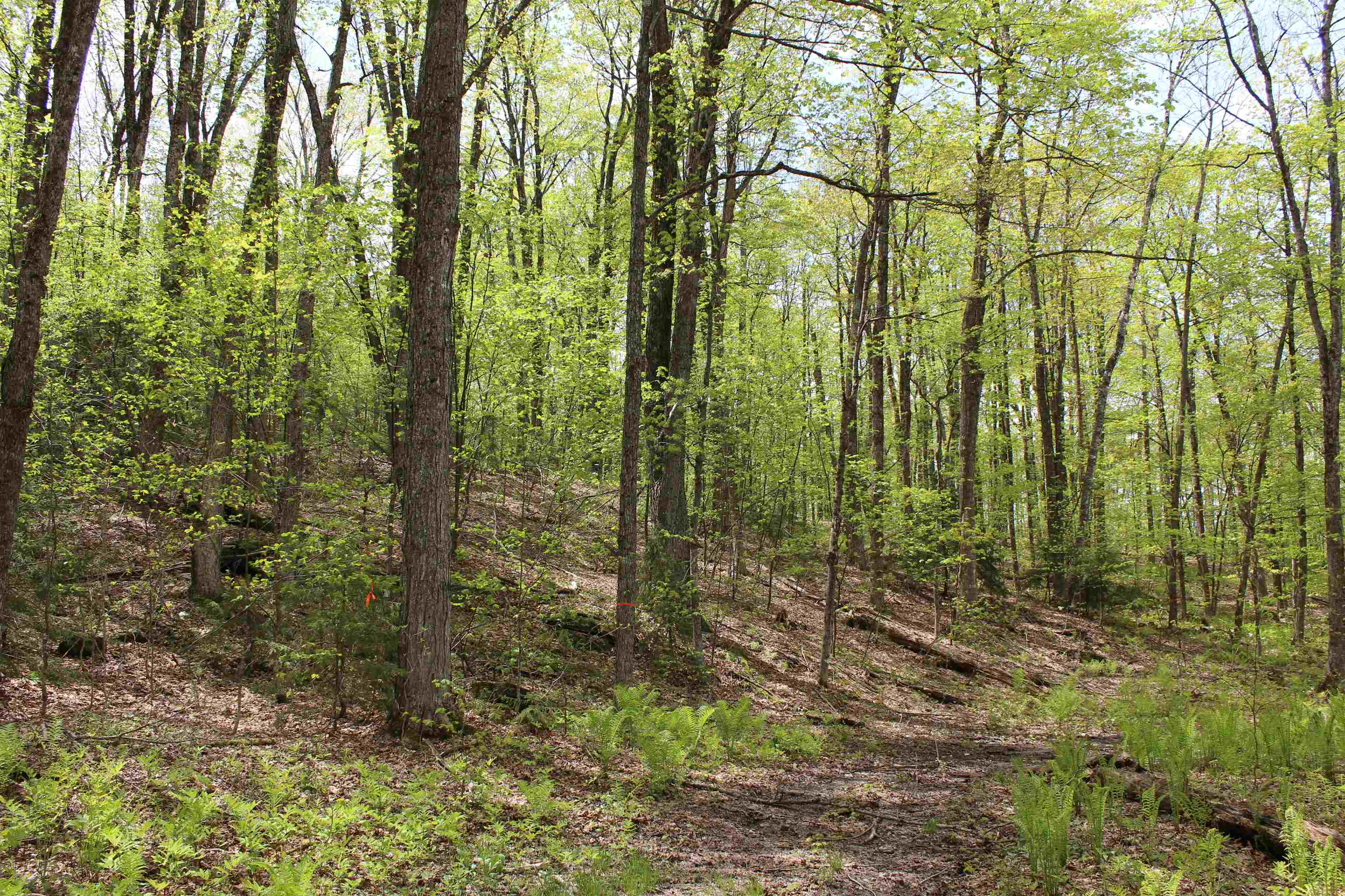 0 Long Hill Road South Woodstock, VT 05071 - Photo 4 of 58