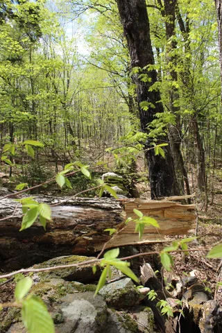 $549,000 | 0 Long Hill Road, South Woodstock, VT 05071