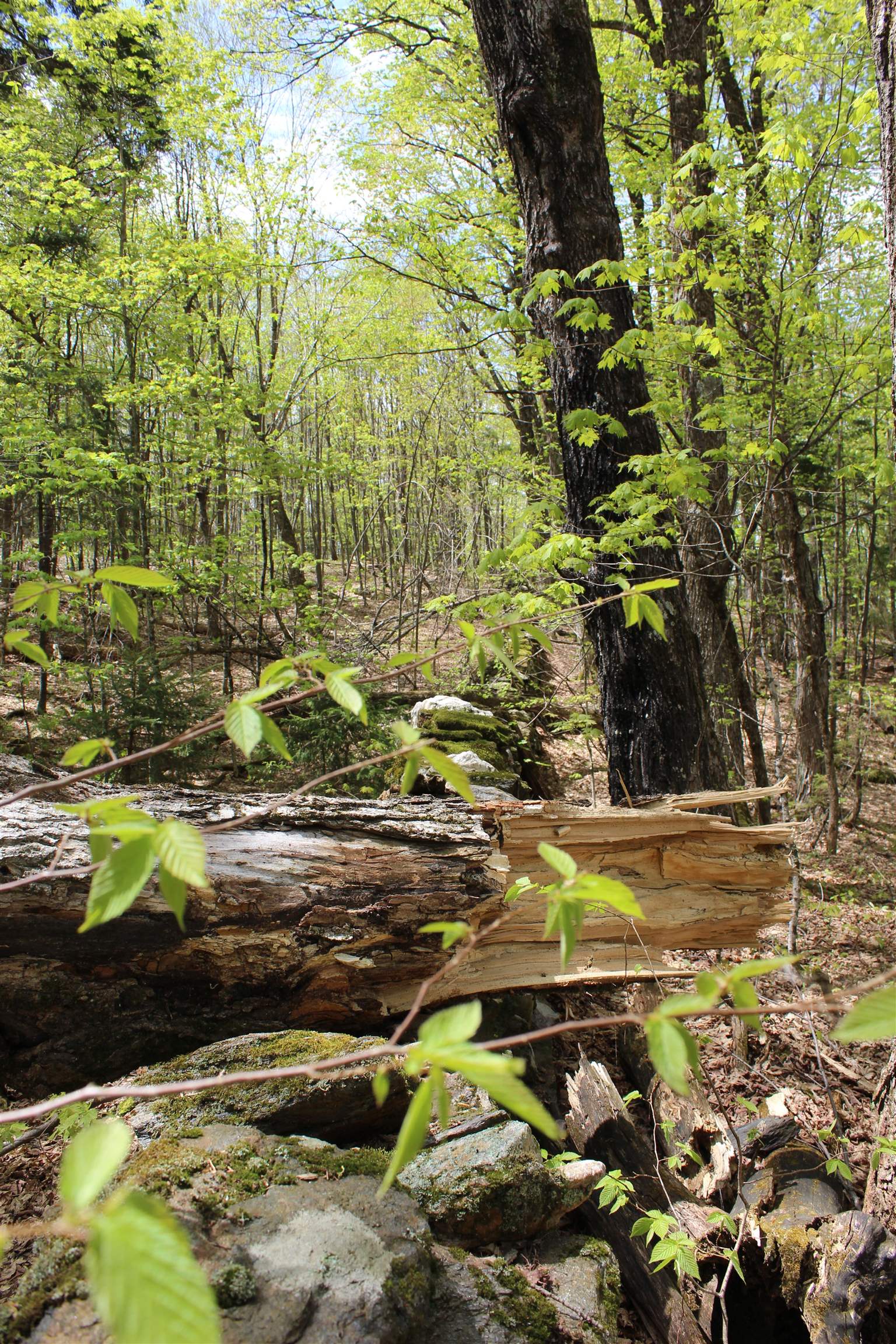 0 Long Hill Road South Woodstock, VT 05071 - Photo 42 of 58