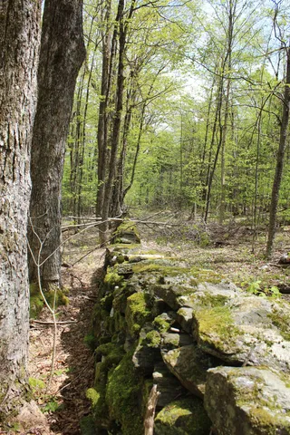 $549,000 | 0 Long Hill Road, South Woodstock, VT 05071