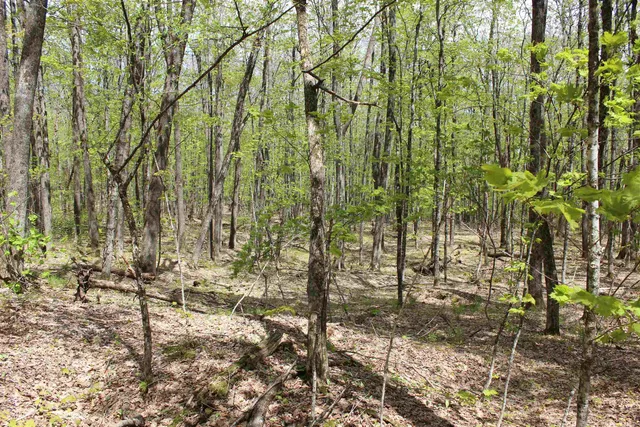 $549,000 | 0 Long Hill Road, South Woodstock, VT 05071