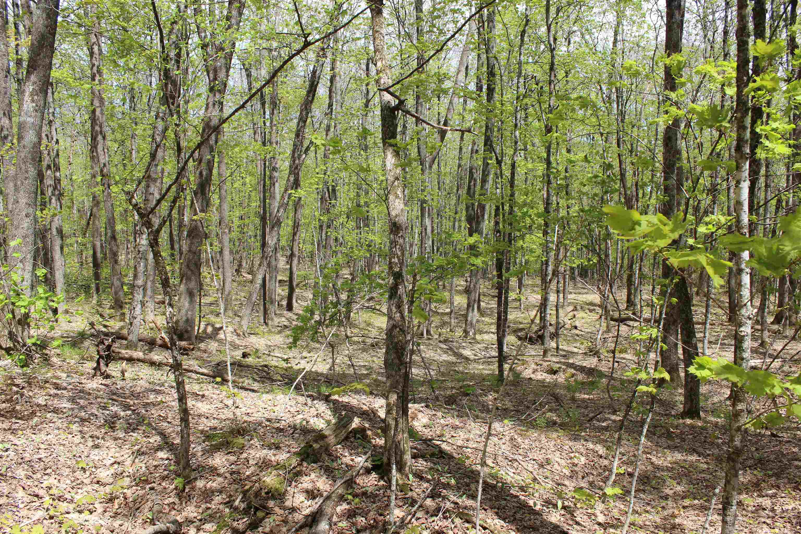 0 Long Hill Road South Woodstock, VT 05071 - Photo 44 of 58