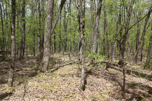 $549,000 | 0 Long Hill Road, South Woodstock, VT 05071