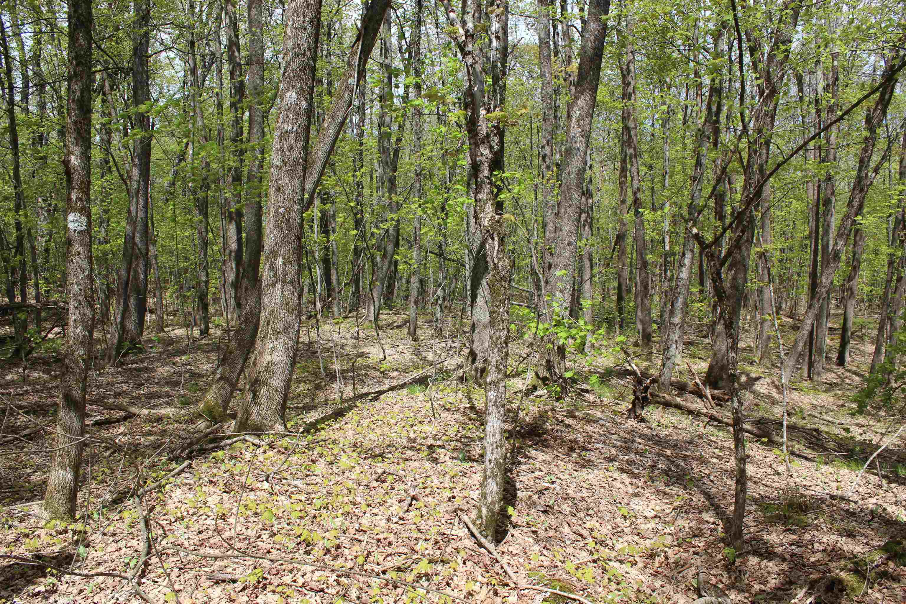 0 Long Hill Road South Woodstock, VT 05071 - Photo 45 of 58