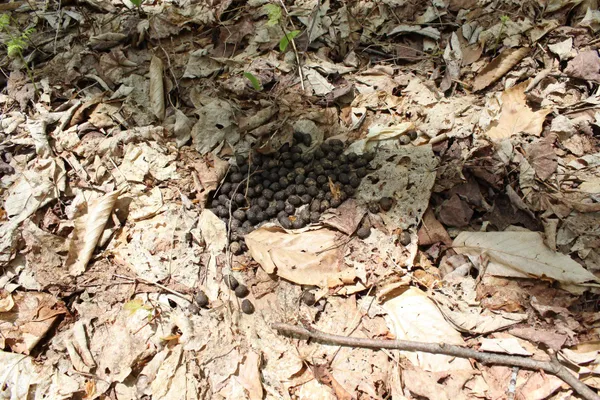 $549,000 | 0 Long Hill Road, South Woodstock, VT 05071