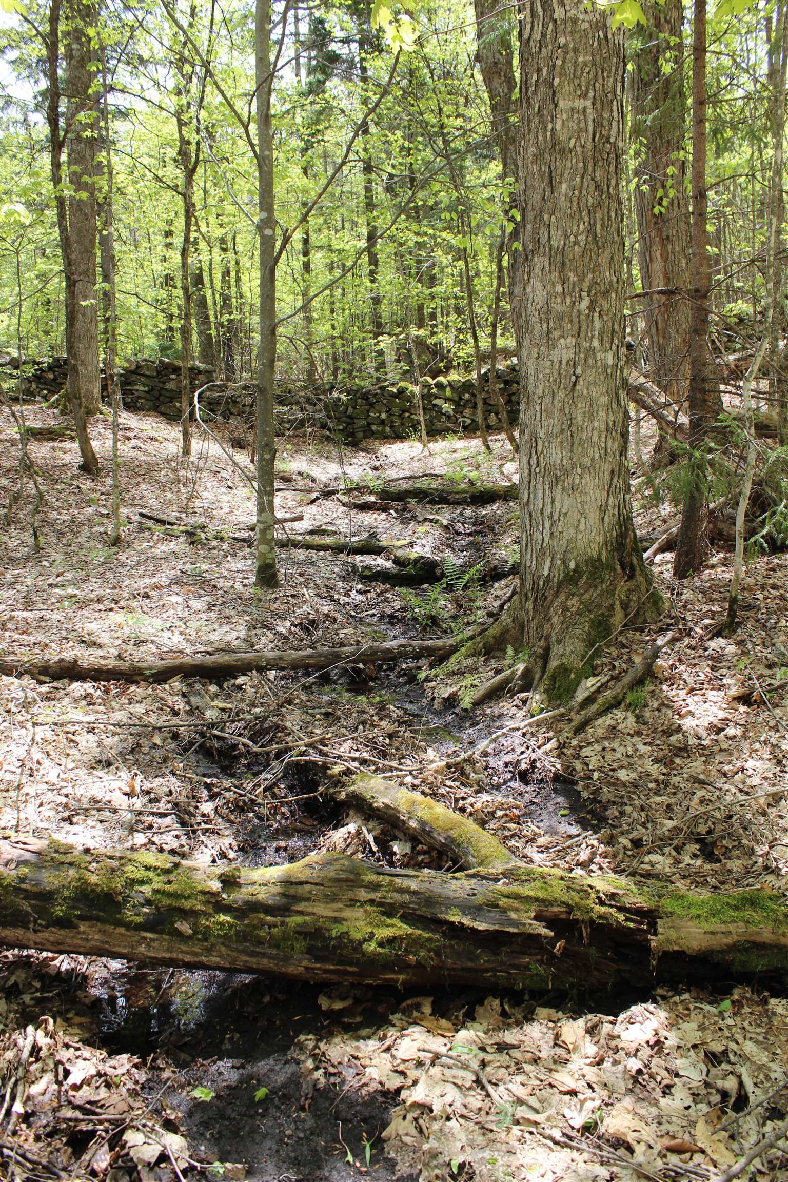 0 Long Hill Road South Woodstock, VT 05071 - Photo 48 of 58