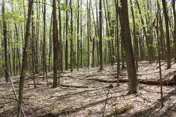 $549,000 | 0 Long Hill Road, South Woodstock, VT 05071