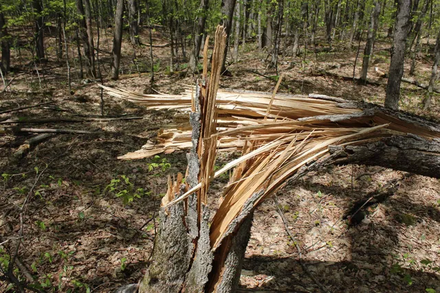 $549,000 | 0 Long Hill Road, South Woodstock, VT 05071