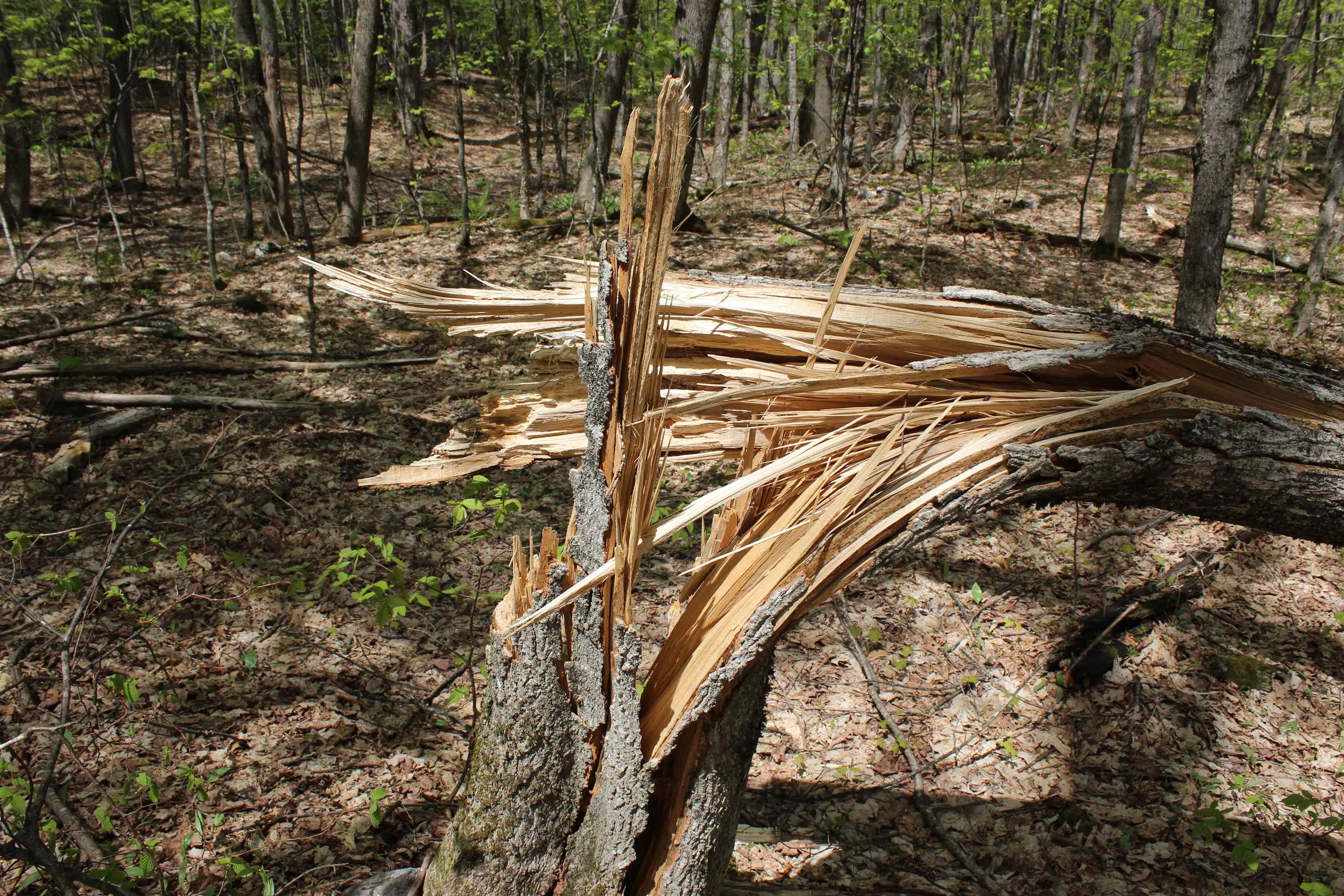 0 Long Hill Road South Woodstock, VT 05071 - Photo 49 of 58