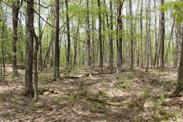 $549,000 | 0 Long Hill Road, South Woodstock, VT 05071