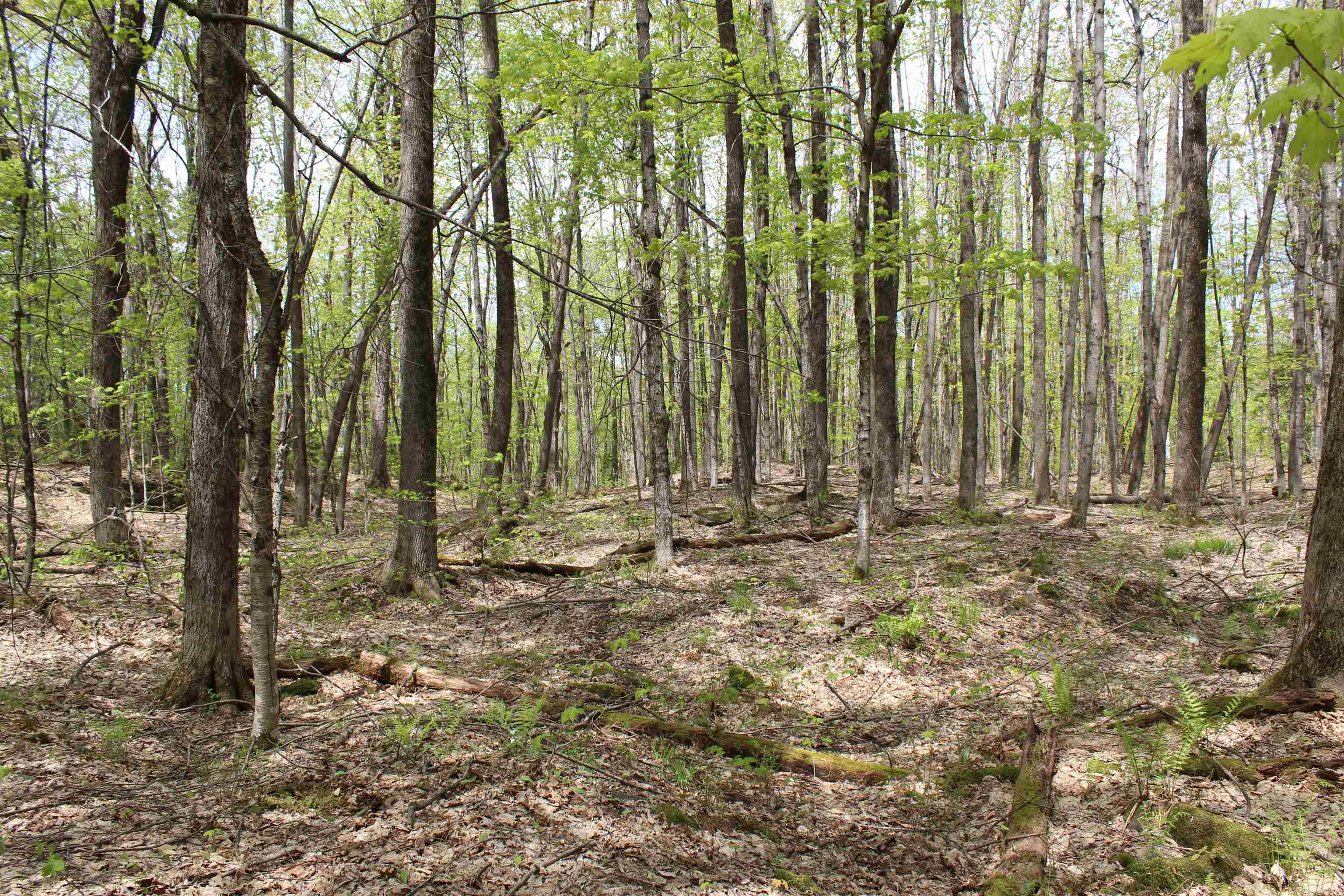 0 Long Hill Road South Woodstock, VT 05071 - Photo 50 of 58