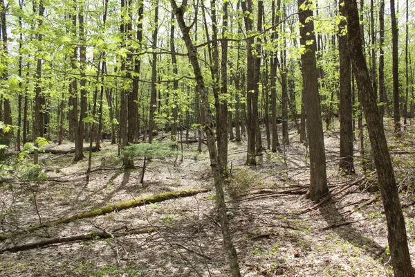 $549,000 | 0 Long Hill Road, South Woodstock, VT 05071