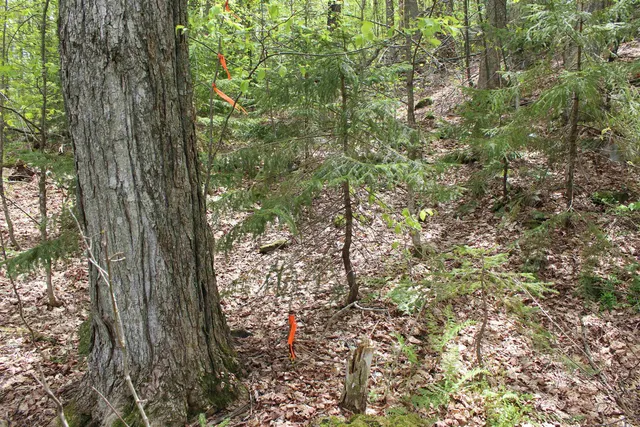 $549,000 | 0 Long Hill Road, South Woodstock, VT 05071