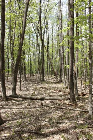 $549,000 | 0 Long Hill Road, South Woodstock, VT 05071