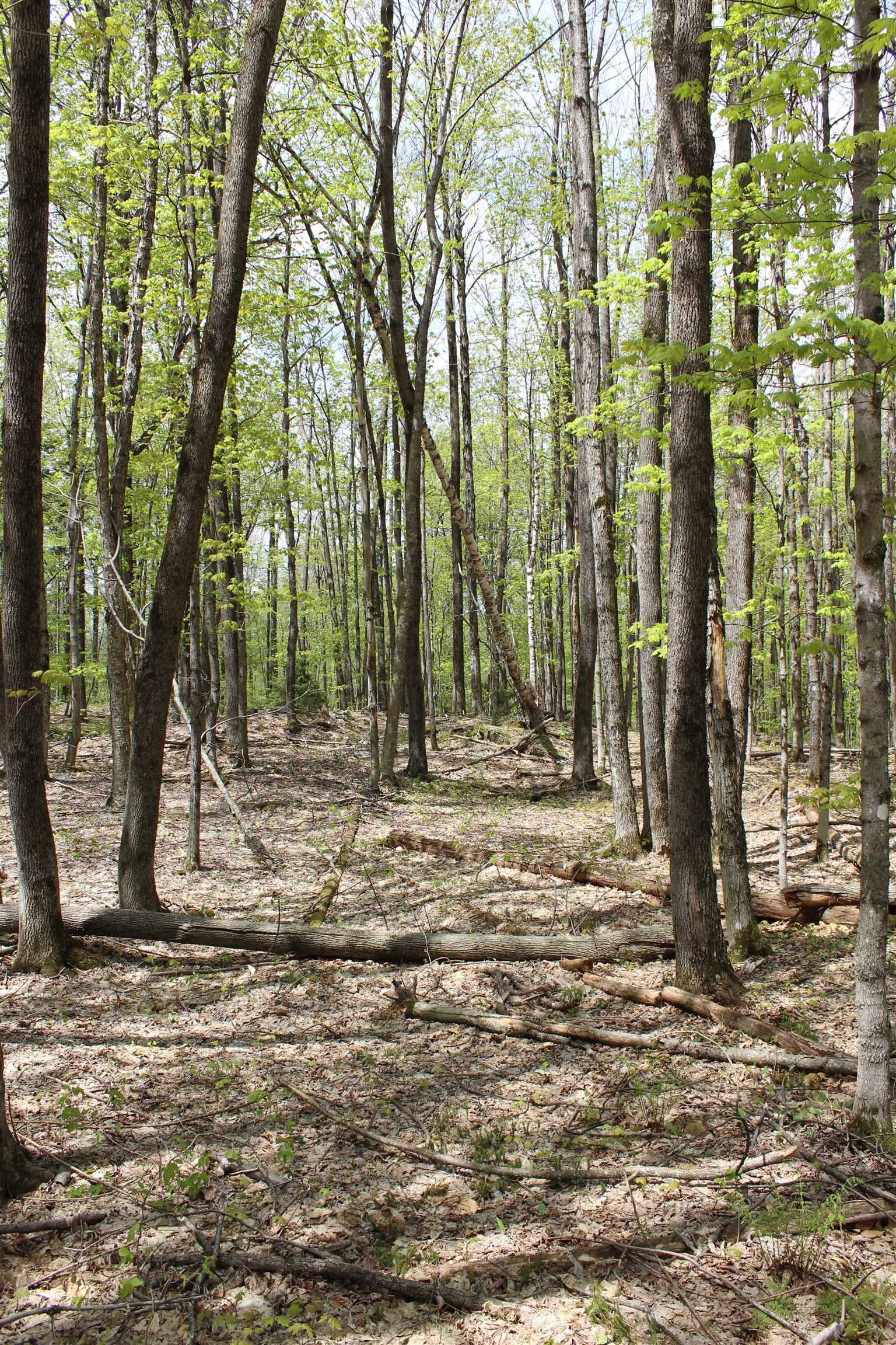 0 Long Hill Road South Woodstock, VT 05071 - Photo 51 of 58