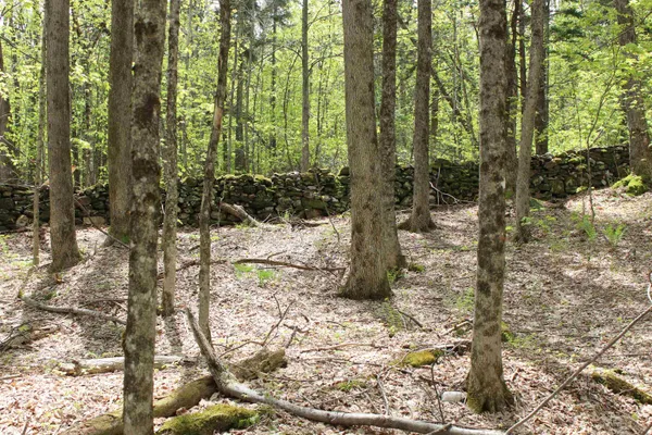 $549,000 | 0 Long Hill Road, South Woodstock, VT 05071