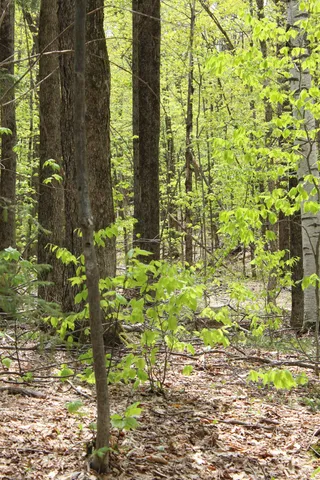 $549,000 | 0 Long Hill Road, South Woodstock, VT 05071