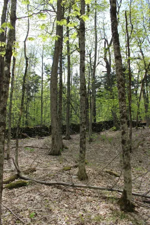 $549,000 | 0 Long Hill Road, South Woodstock, VT 05071