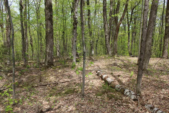 $549,000 | 0 Long Hill Road, South Woodstock, VT 05071