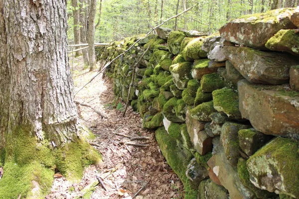 $549,000 | 0 Long Hill Road, South Woodstock, VT 05071