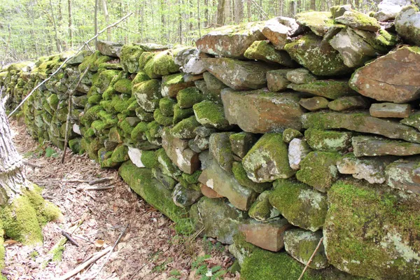 $549,000 | 0 Long Hill Road, South Woodstock, VT 05071