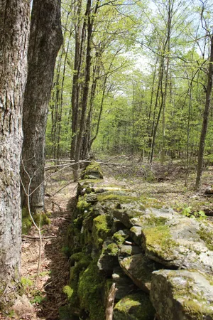 $549,000 | 0 Long Hill Road, South Woodstock, VT 05071