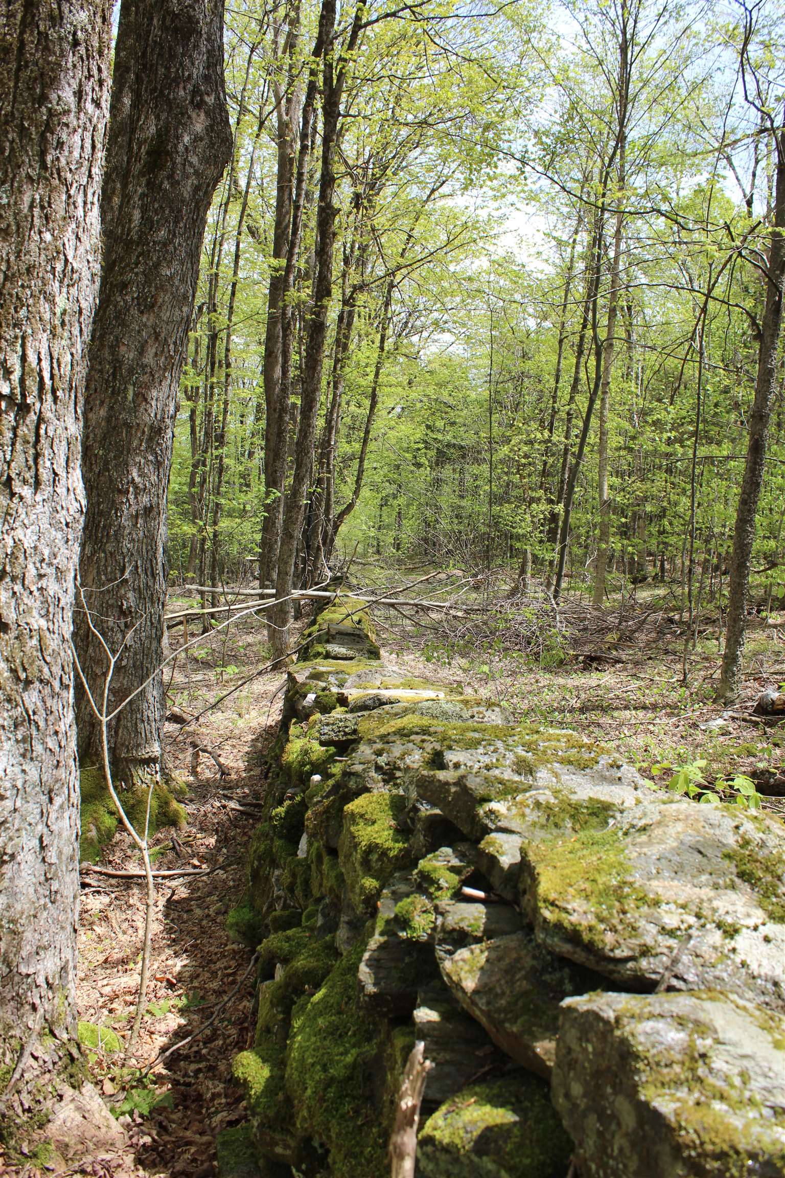 0 Long Hill Road South Woodstock, VT 05071 - Photo 57 of 68