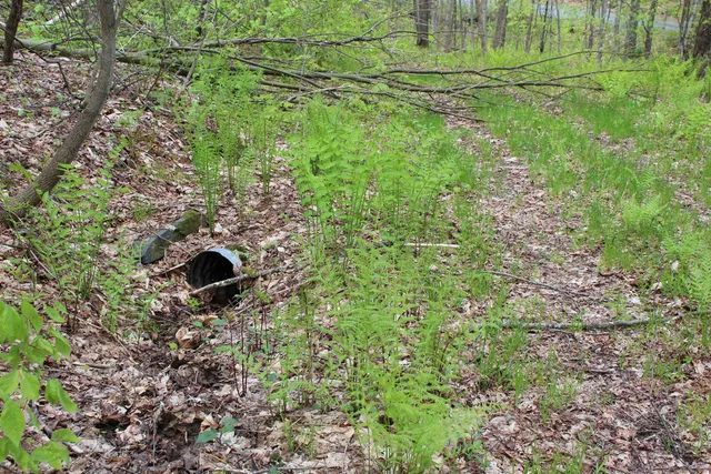 $549,000 | 0 Long Hill Road, South Woodstock, VT 05071