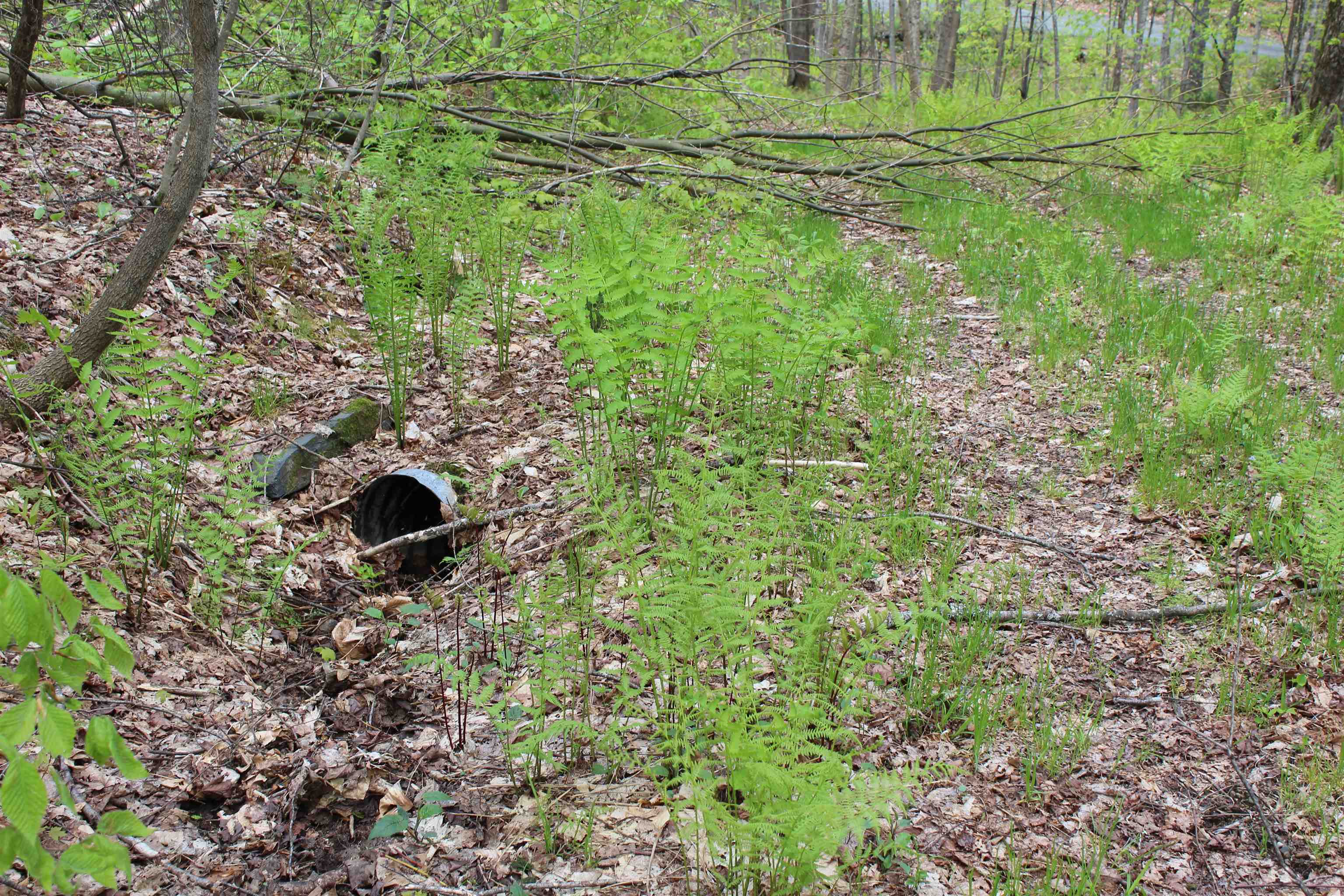 0 Long Hill Road South Woodstock, VT 05071 - Photo 57 of 58