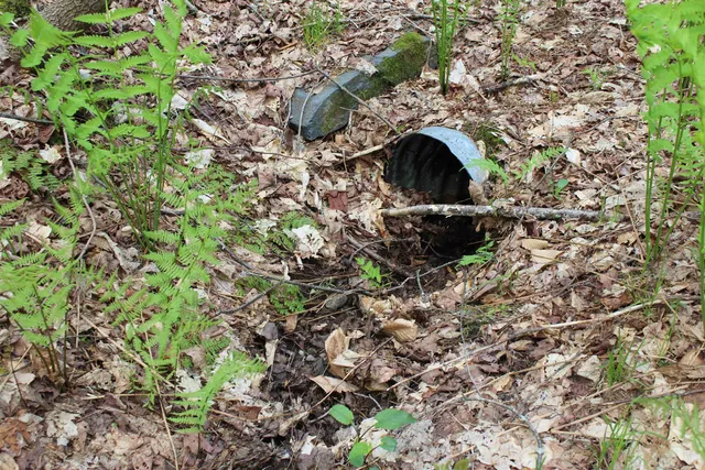 $549,000 | 0 Long Hill Road, South Woodstock, VT 05071