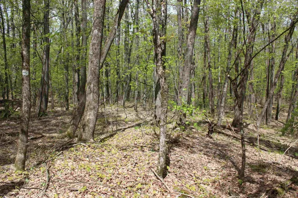 $549,000 | 0 Long Hill Road, South Woodstock, VT 05071