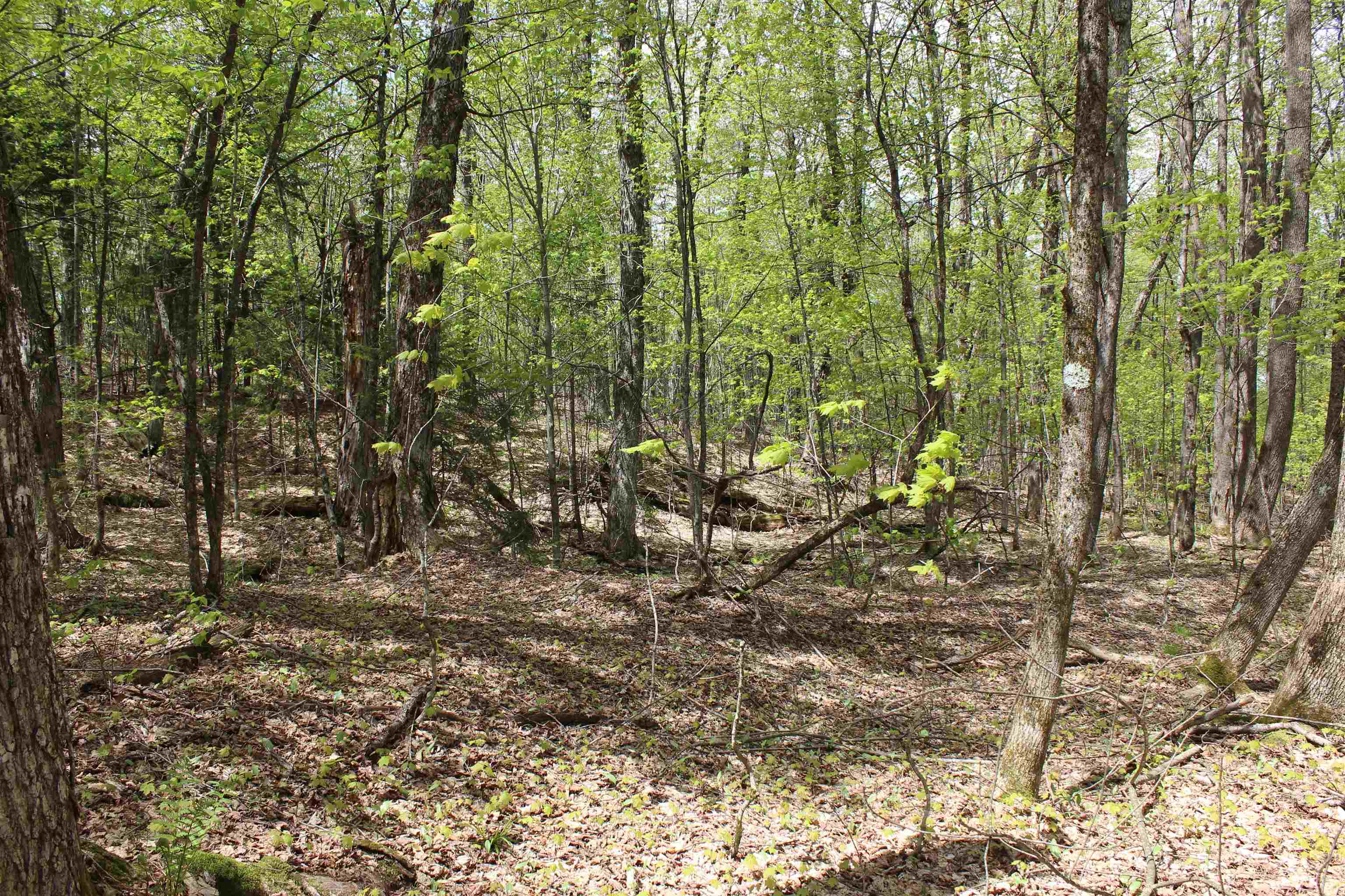 0 Long Hill Road South Woodstock, VT 05071 - Photo 60 of 68