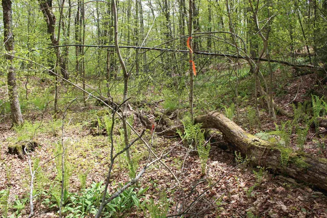 $549,000 | 0 Long Hill Road, South Woodstock, VT 05071