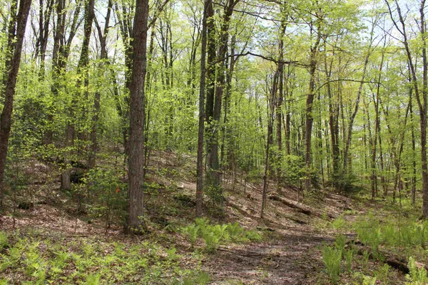 $549,000 | 0 Long Hill Road, South Woodstock, VT 05071