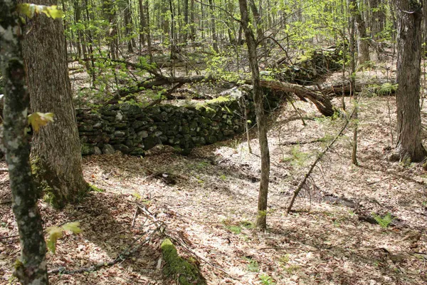 $549,000 | 0 Long Hill Road, South Woodstock, VT 05071