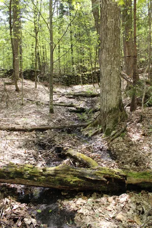 $549,000 | 0 Long Hill Road, South Woodstock, VT 05071