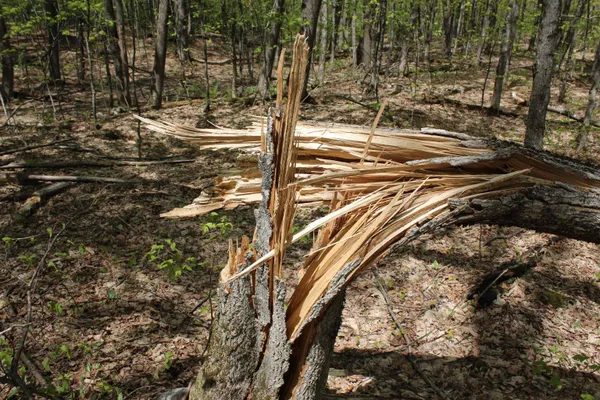 $549,000 | 0 Long Hill Road, South Woodstock, VT 05071