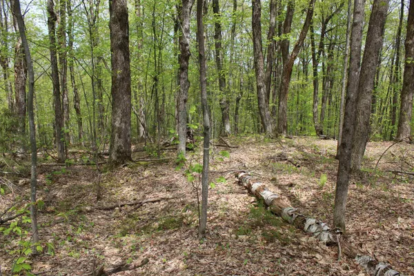 $549,000 | 0 Long Hill Road, South Woodstock, VT 05071