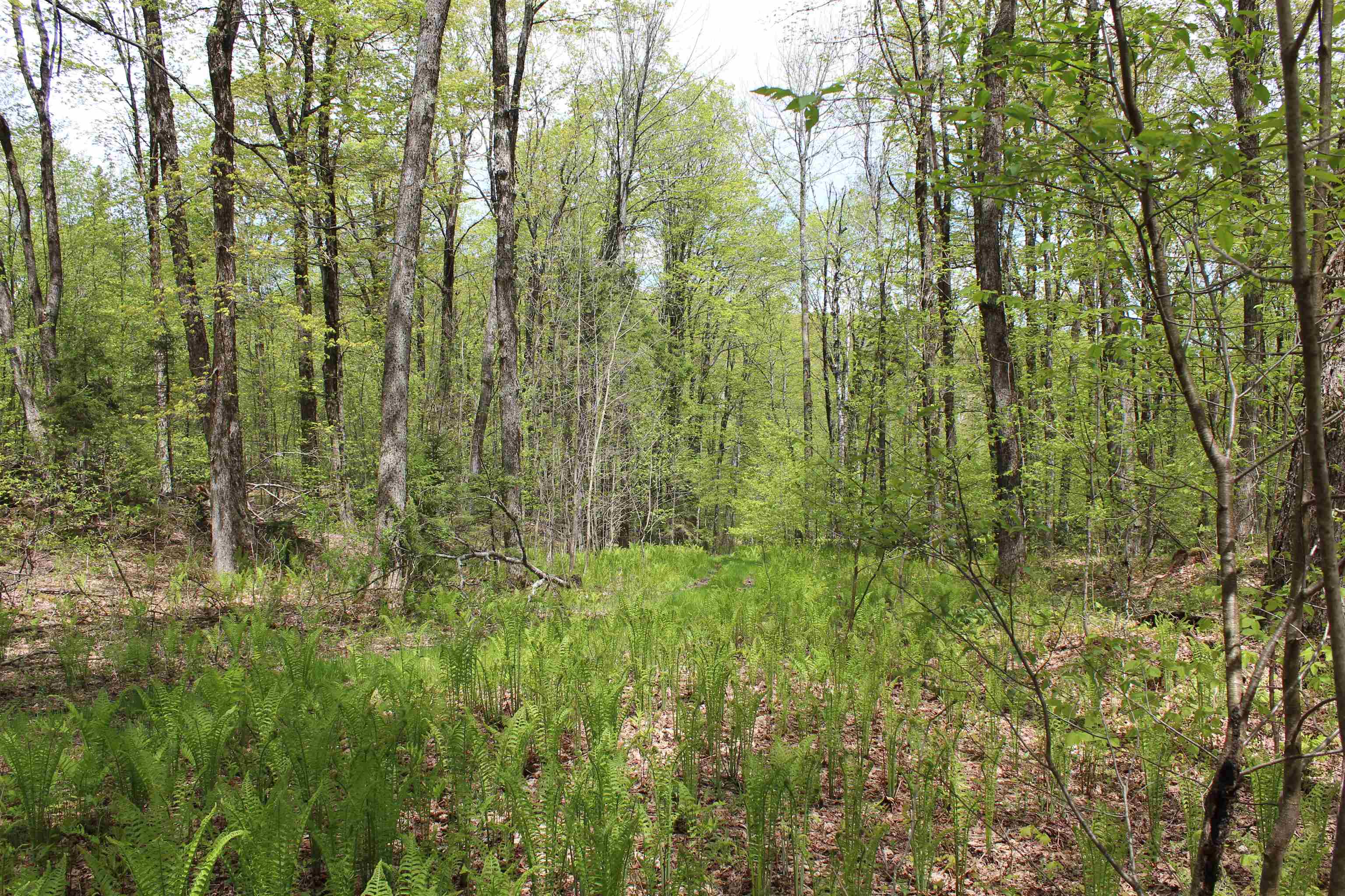 0 Long Hill Road South Woodstock, VT 05071 - Photo 7 of 58