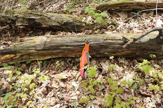 $549,000 | 0 Long Hill Road, South Woodstock, VT 05071